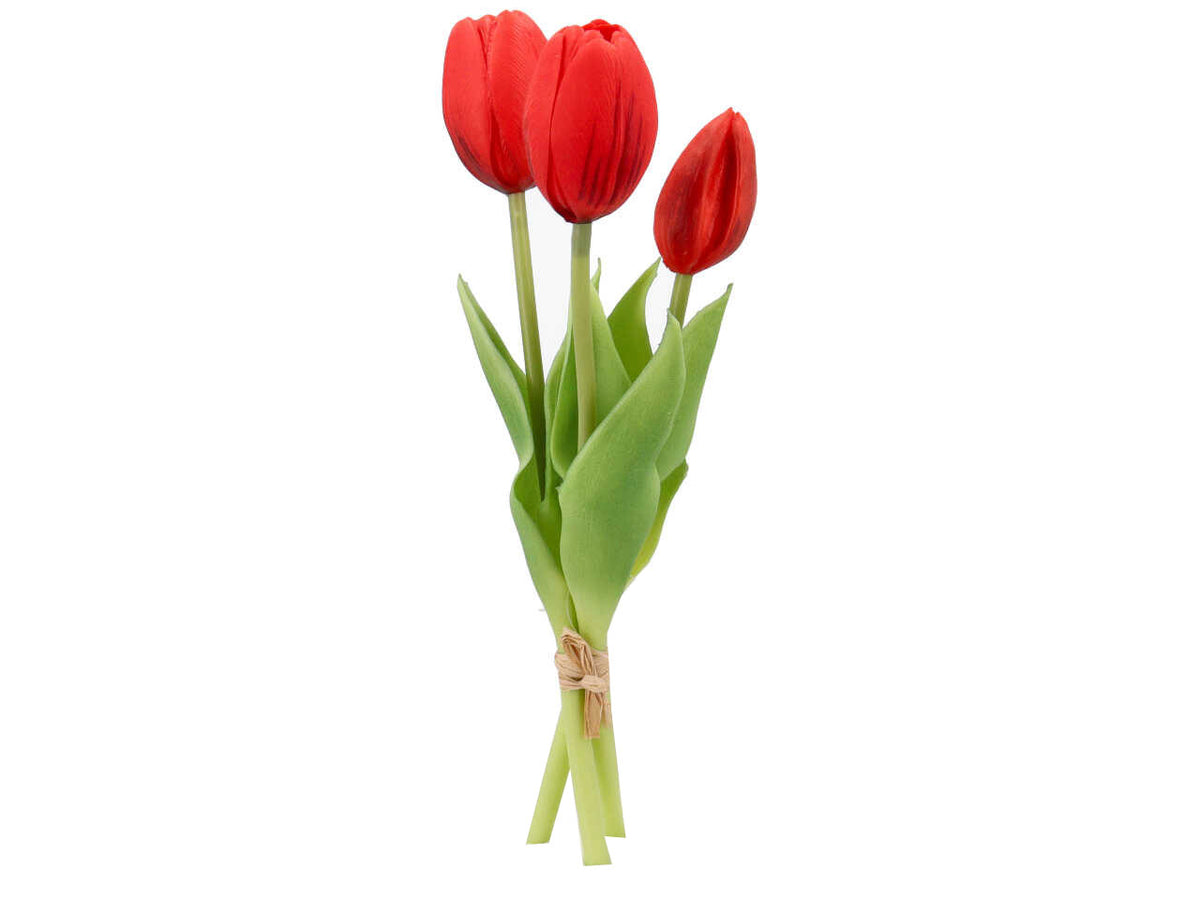 Mazzetto corto tulipani con 2 fiori e 1 bocciolo rosso