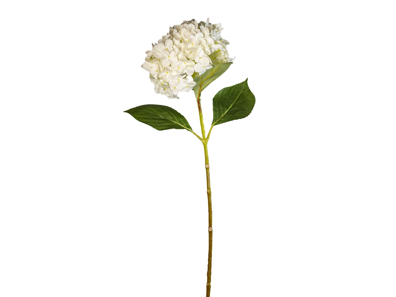Ortensia real touch 70cm bianca