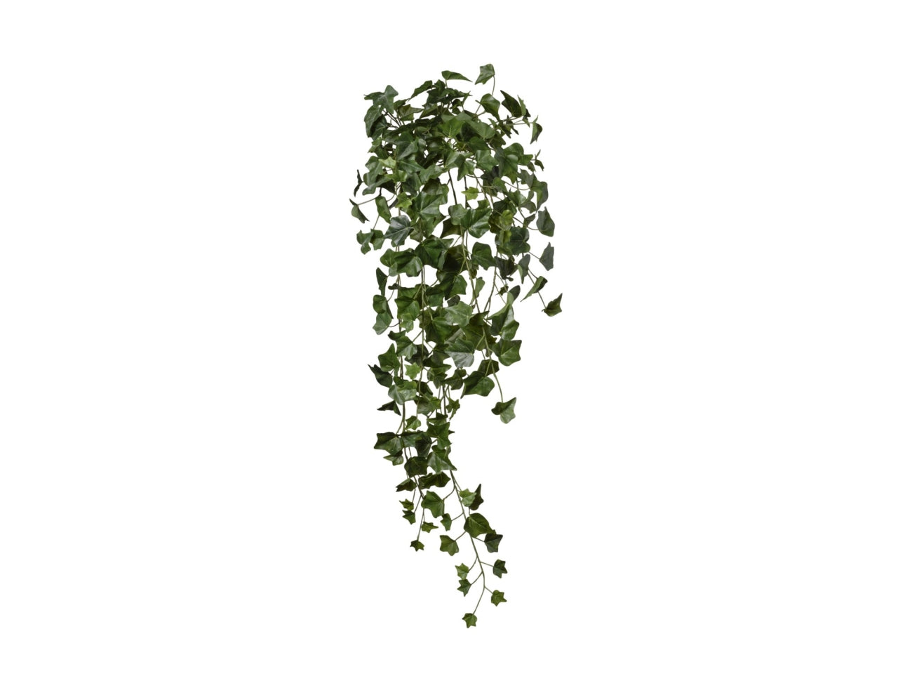 Edera candente lunga 100cm con 244 foglie verdi