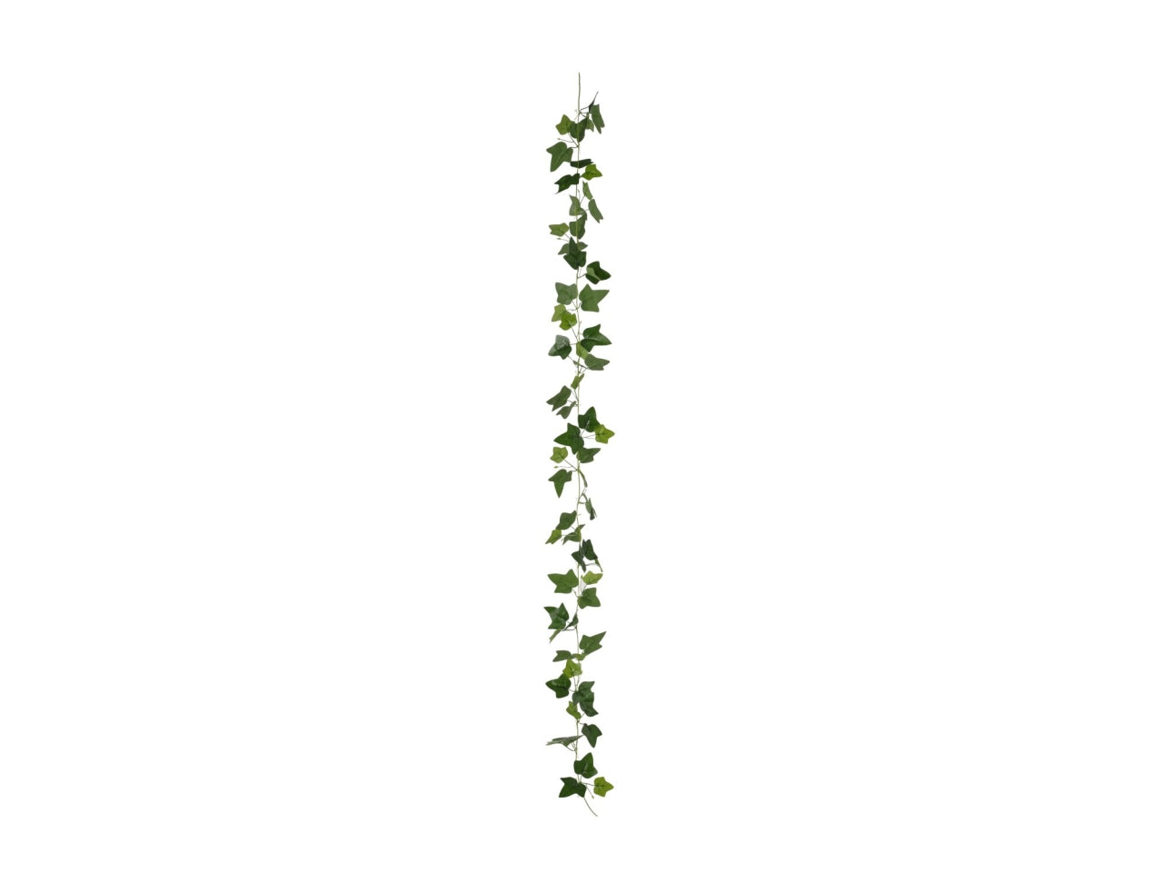 Ghirlanda edera 210cm verde
