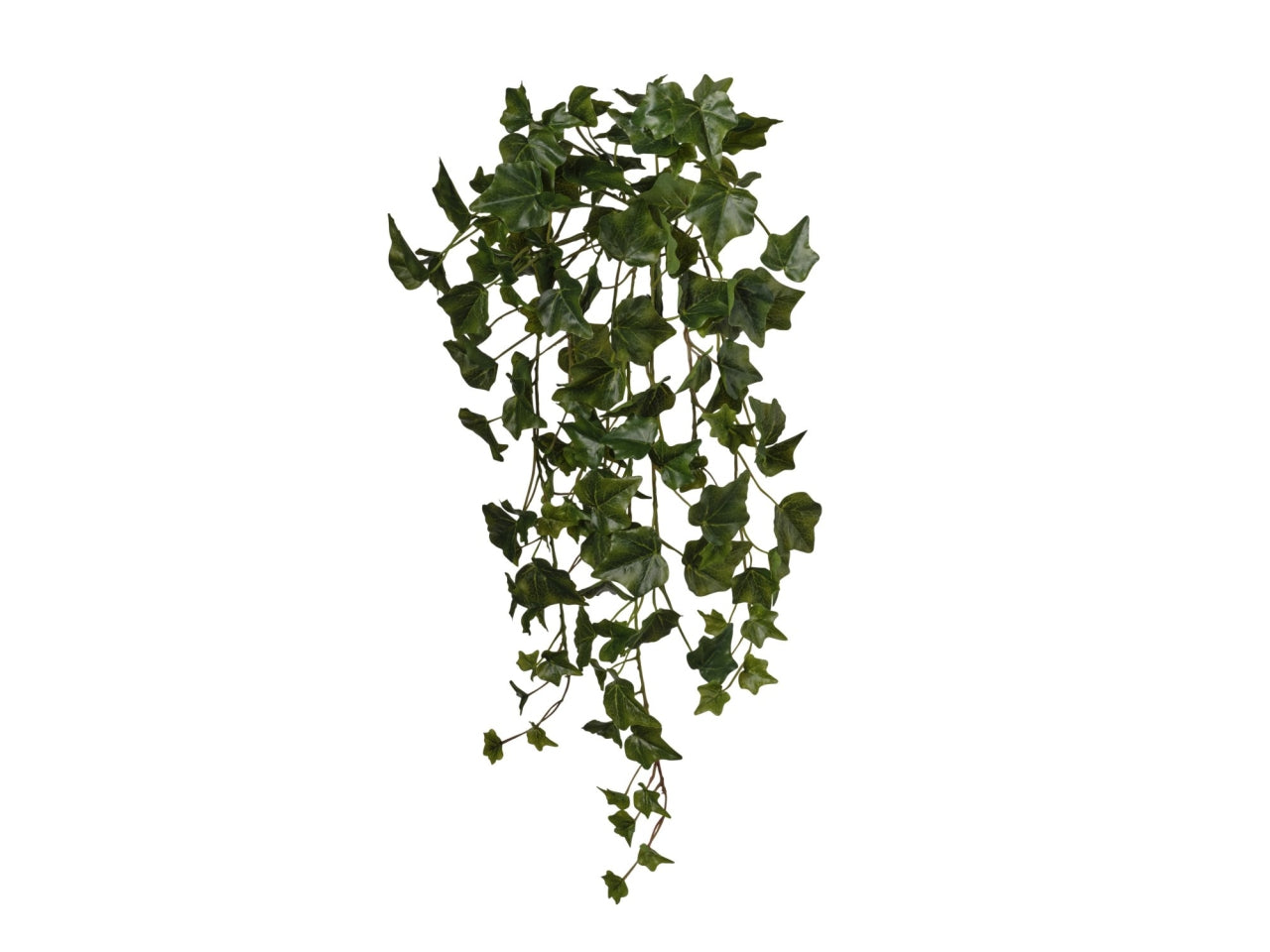 Mazzo edera cadente 70cm con 144 foglie verde