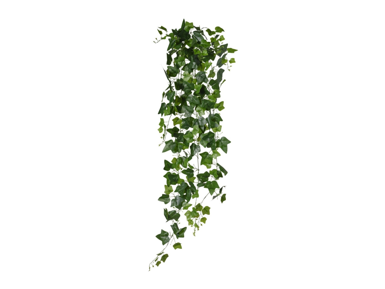 Mazzo di edera 150cm con 219 foglie verdi