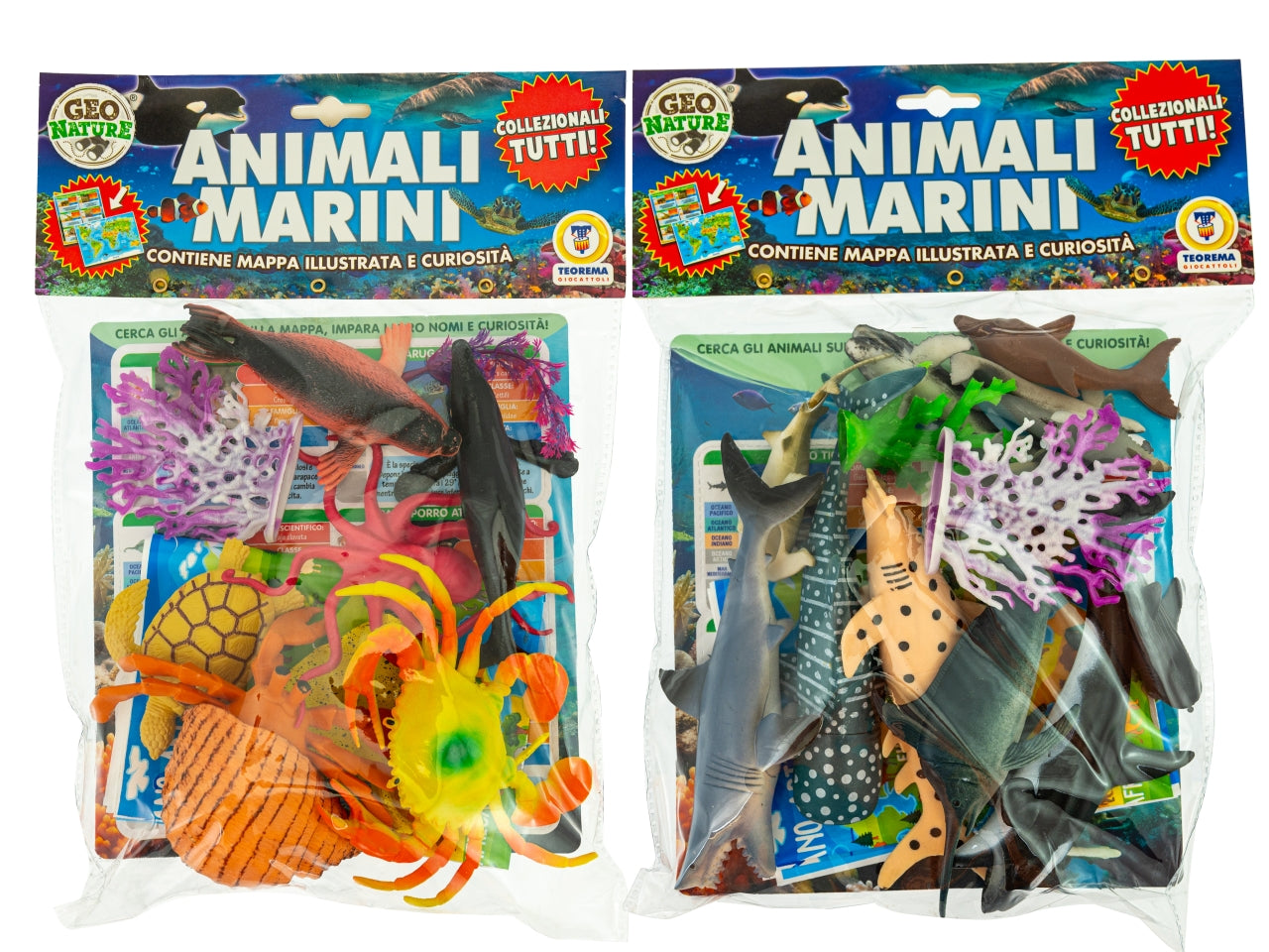 Geo nature animali marini assortiti ortiti