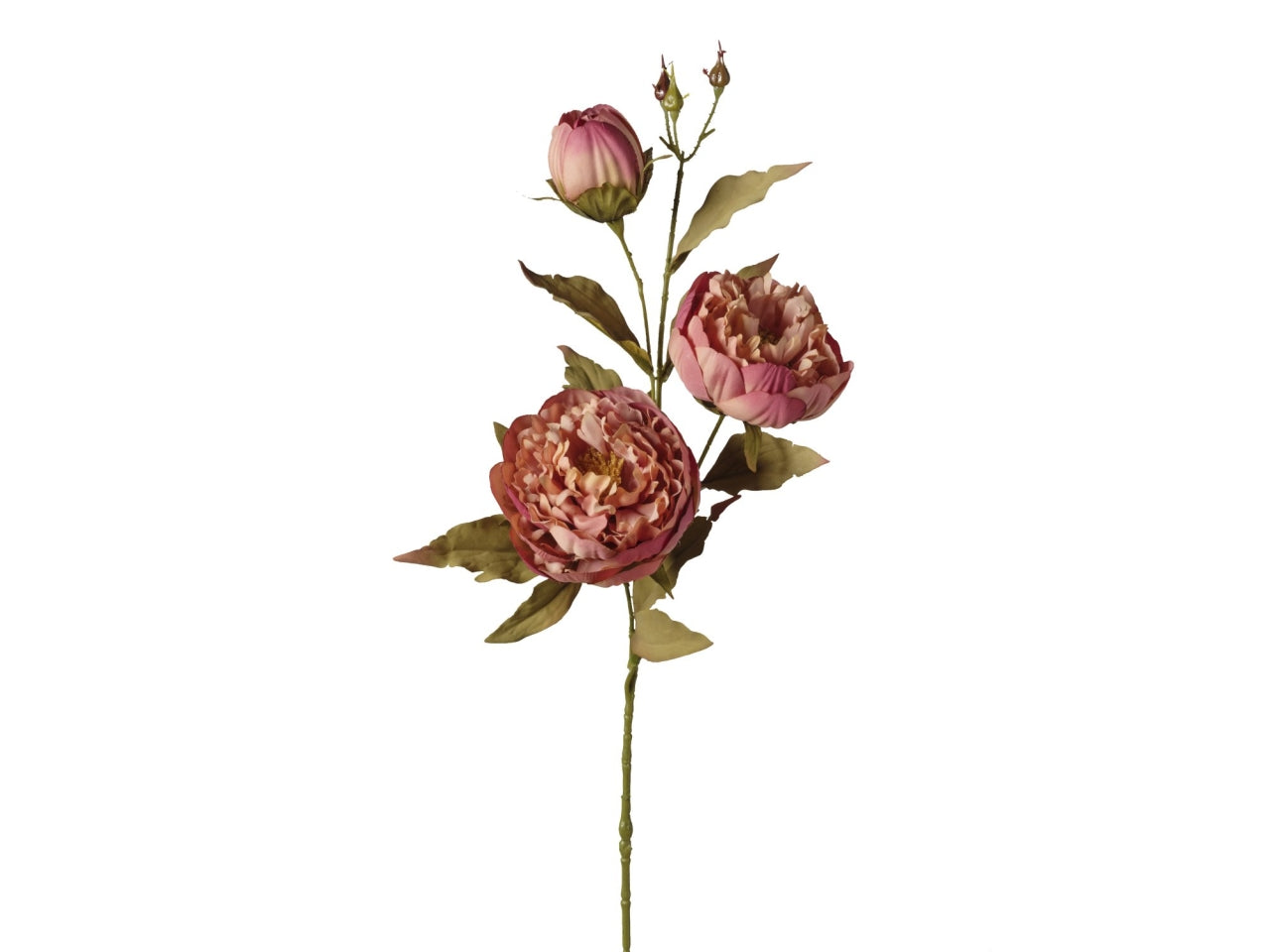 Ramo peoniex3 teste 80cm rosa antico