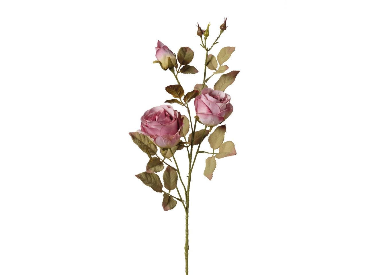 Ramo rosex 3 teste 82cm lavanda antico