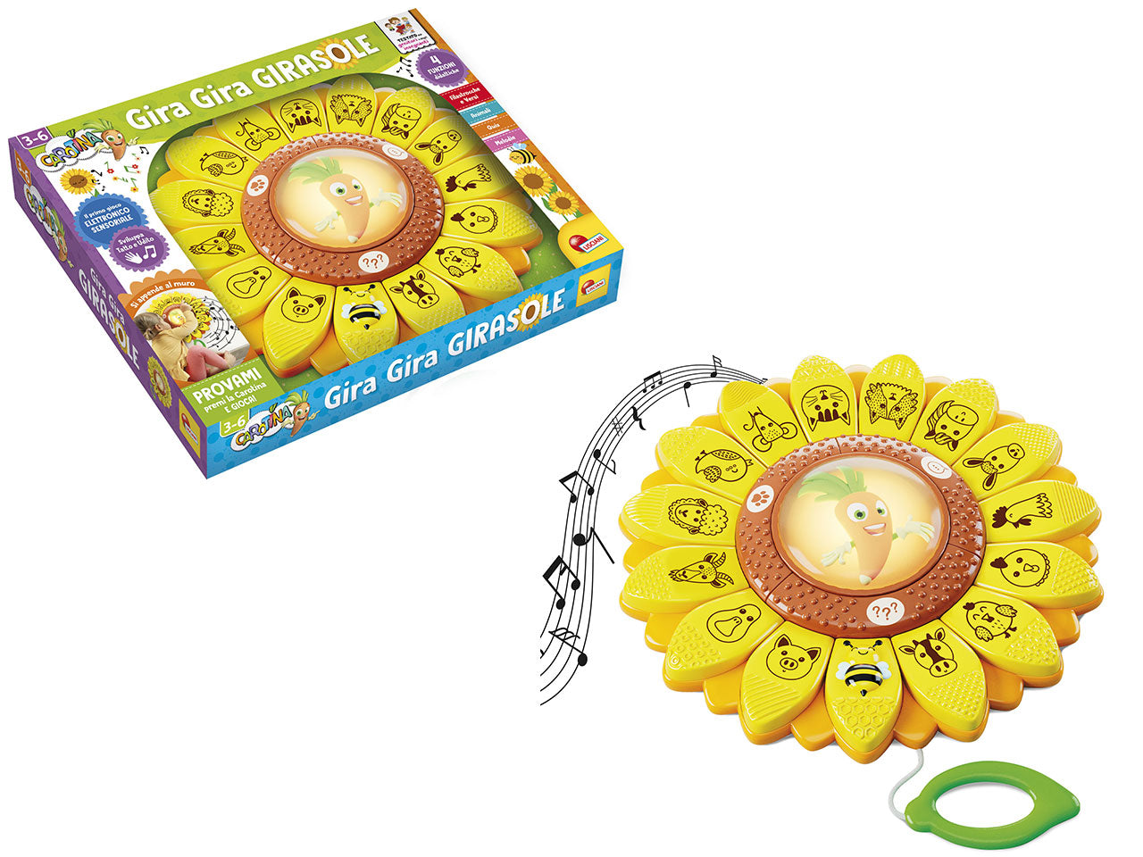Carotina il girasole educativo