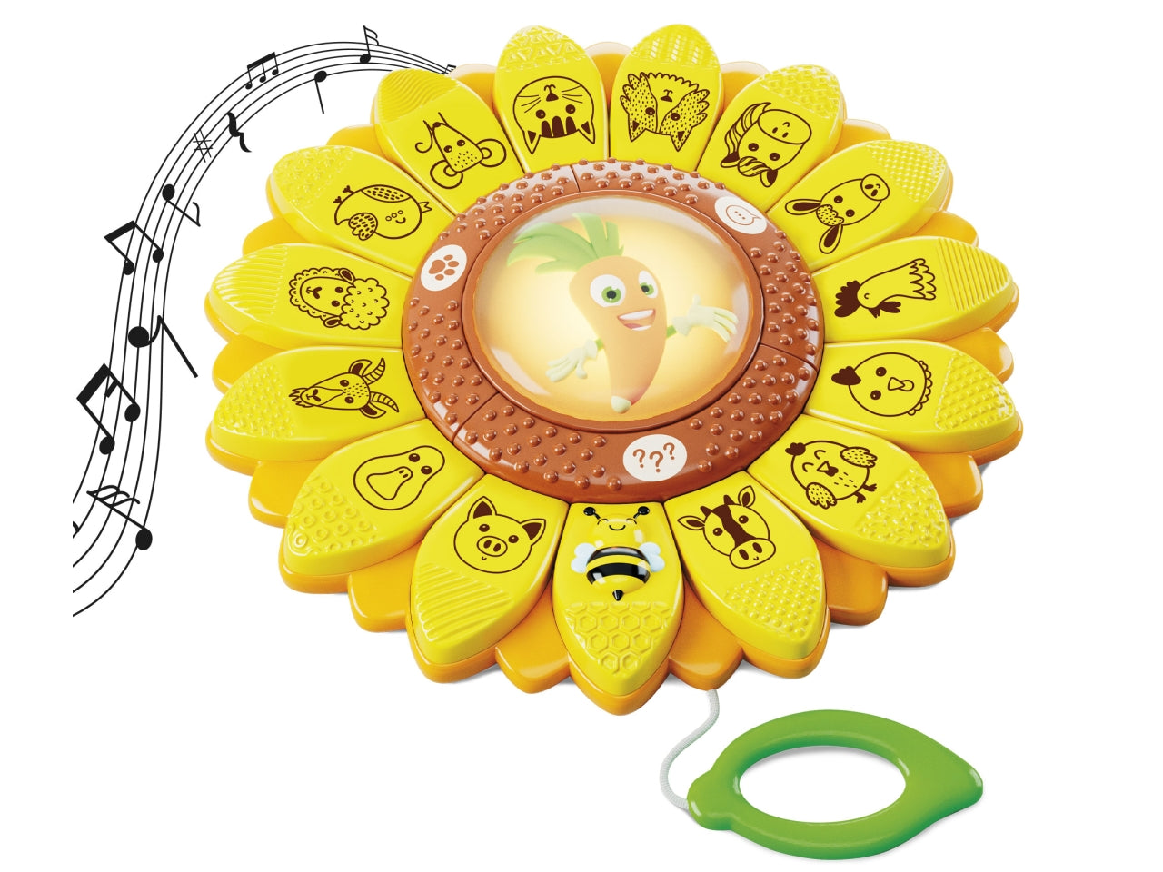 Carotina il girasole educativo