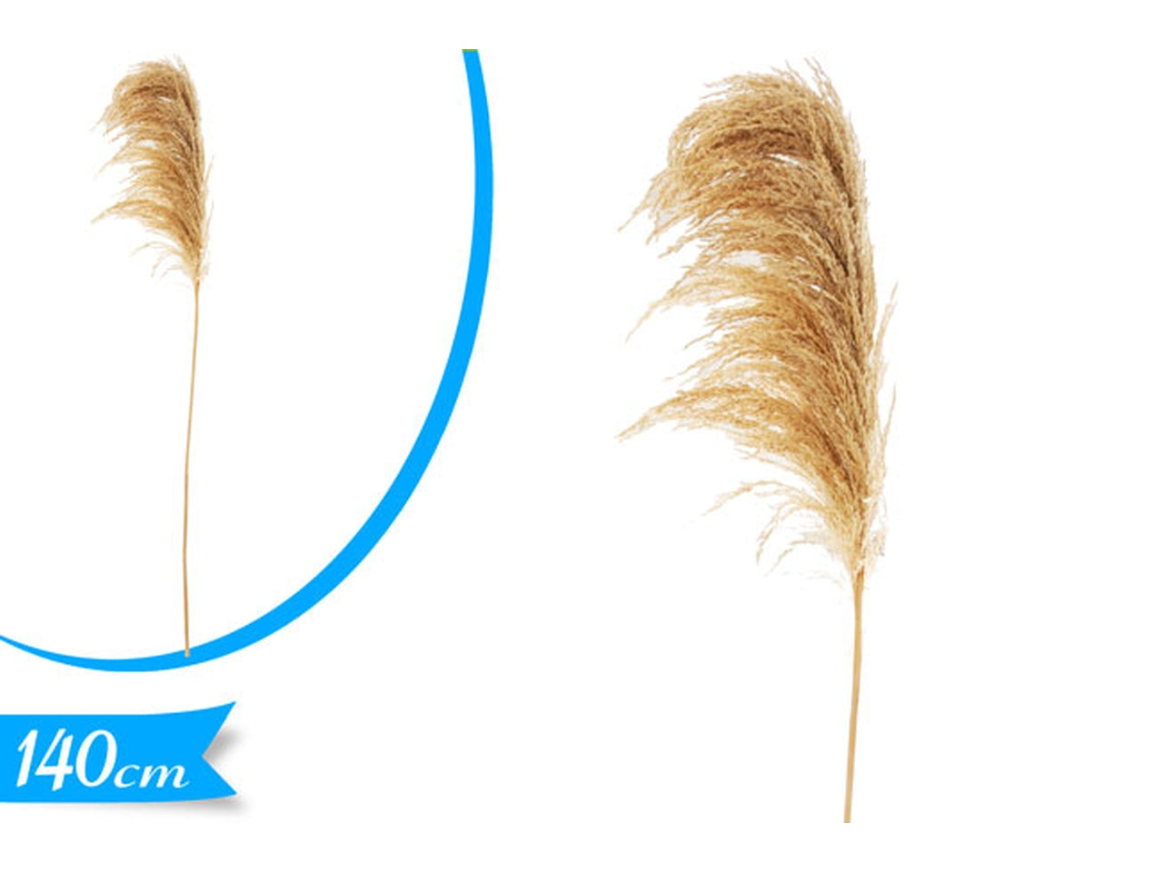 Pampas