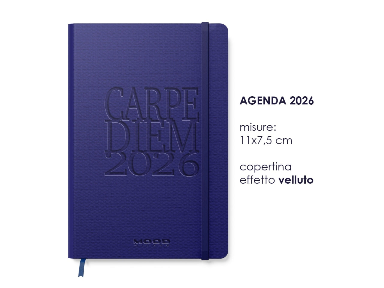 AGENDA CARPE DIEM 2026 MIS. S CB062 CB062