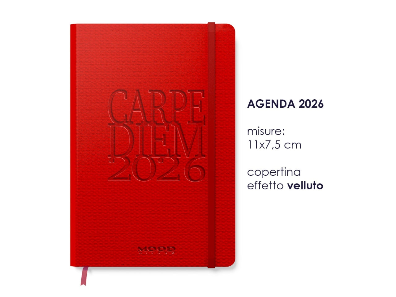 AGENDA CARPE DIEM 2026 MIS. S CB062 CB062