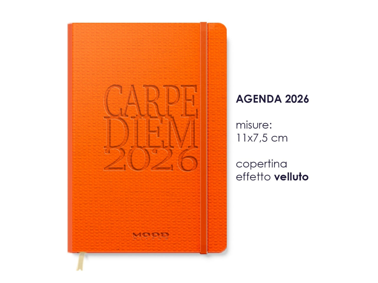 AGENDA CARPE DIEM 2026 MIS. S CB062 CB062
