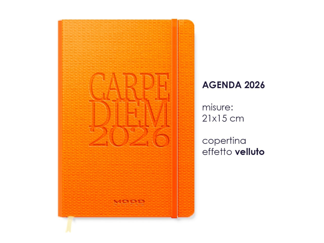 AGENDA CARPE DIEM 2026 MIS. XL CB065 CB065