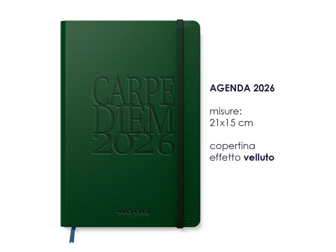 AGENDA CARPE DIEM 2026 MIS. XL SE CB071 CB071 $