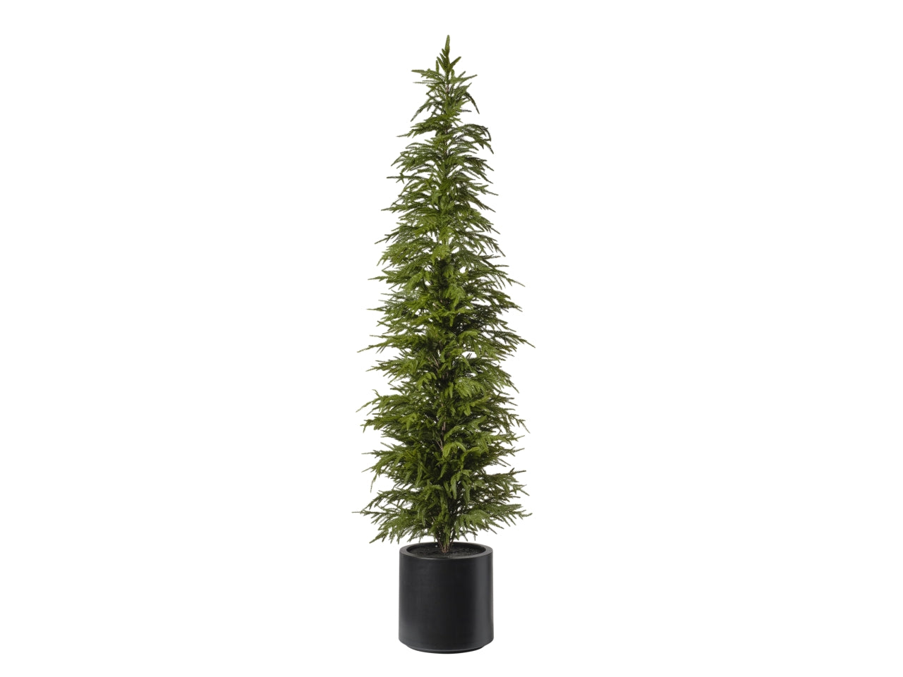Albero pino con vaso h.213cm 093 verde
