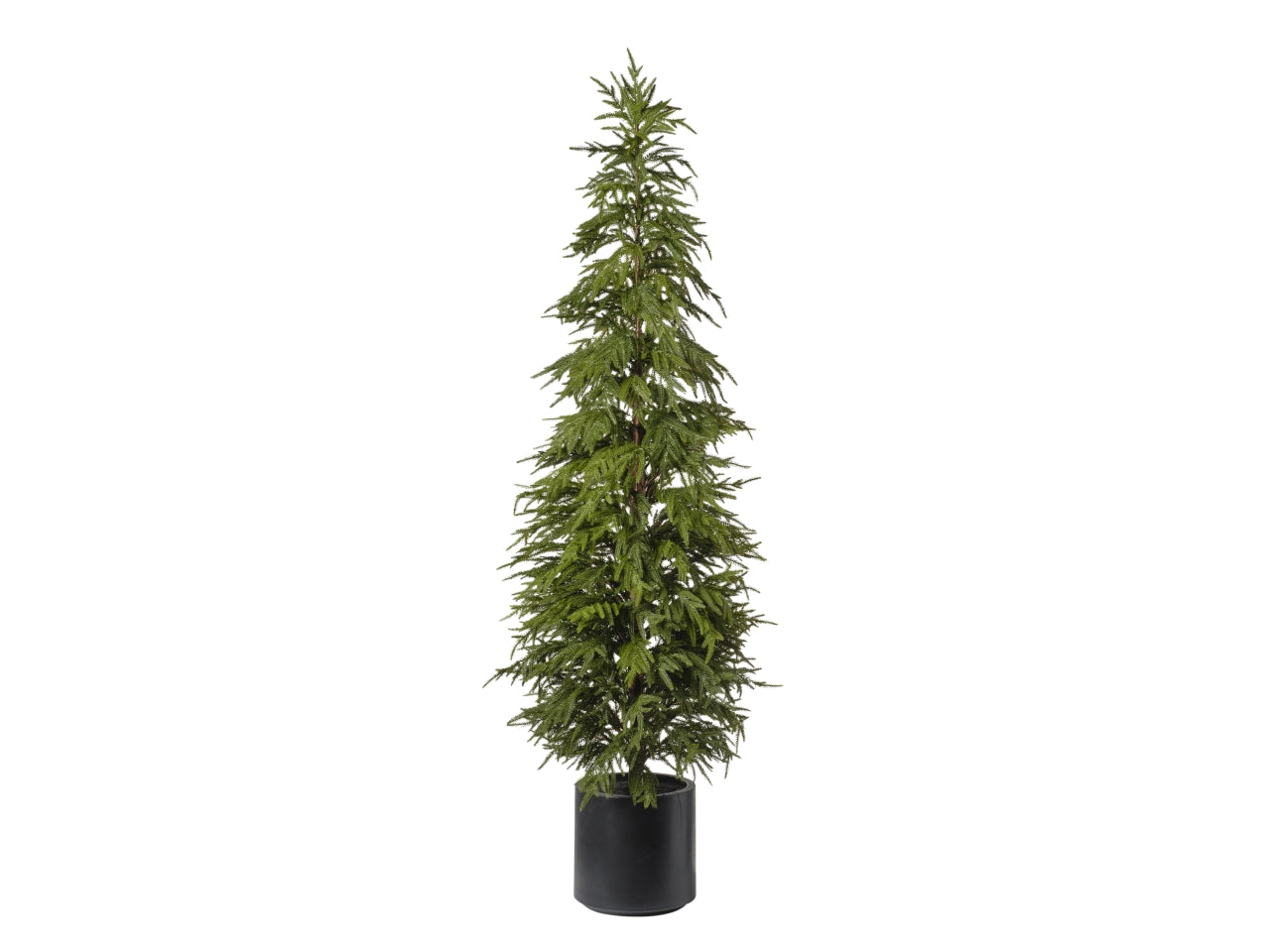 Albero pino con vaso h.183cm 093 verde