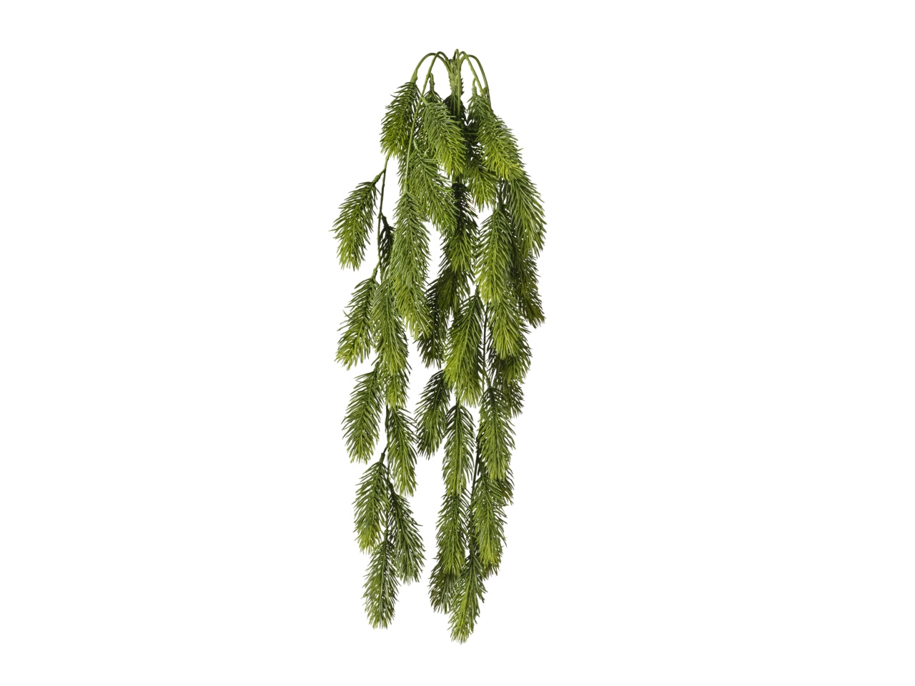 Mazzo pino cadente 68cm 093 verde