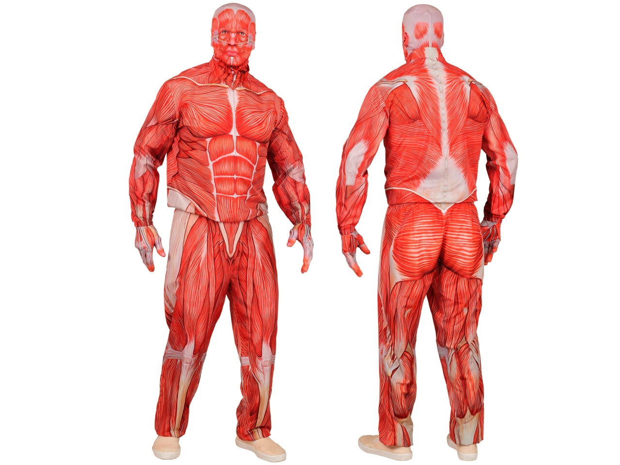 Costume anatomia fast con giacca, pantaloni, guanti e maschera taglia XL