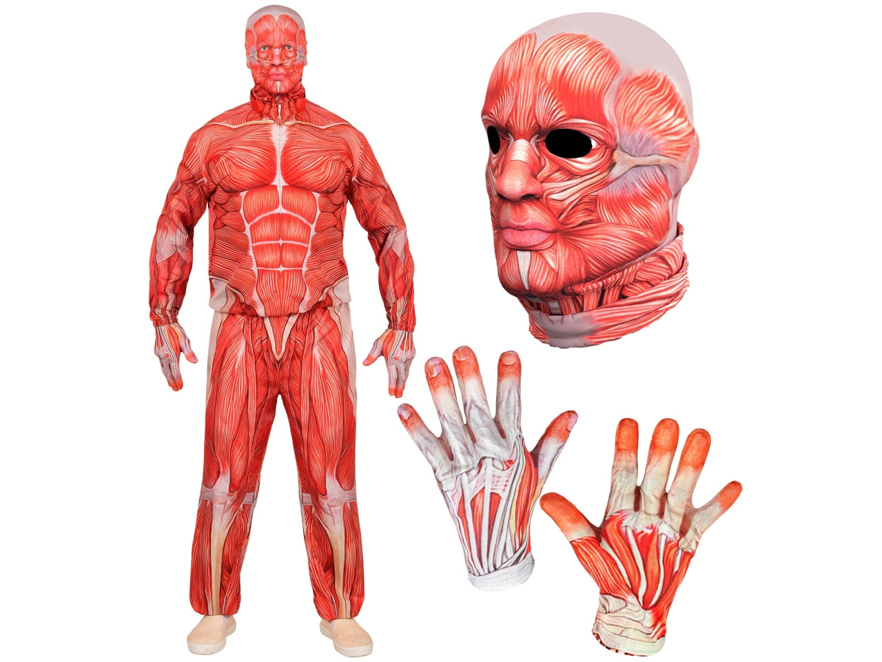 Costume anatomia fast con giacca, pantaloni, guanti e maschera taglia XL