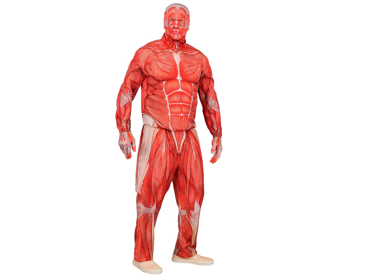 Costume anatomia fast con giacca, pantaloni, guanti e maschera taglia M