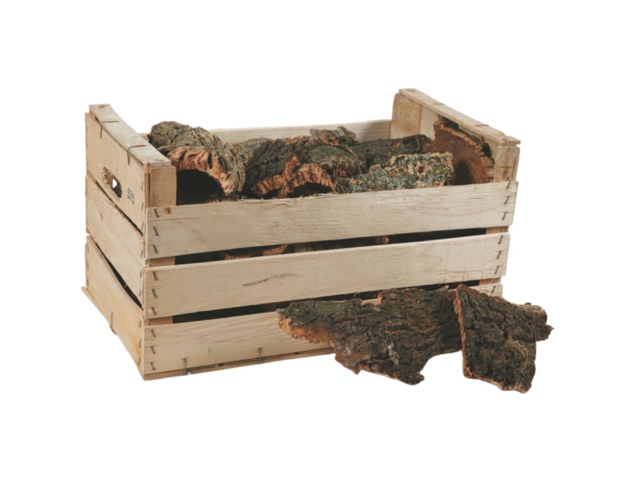 Sughero in cassetta di legno