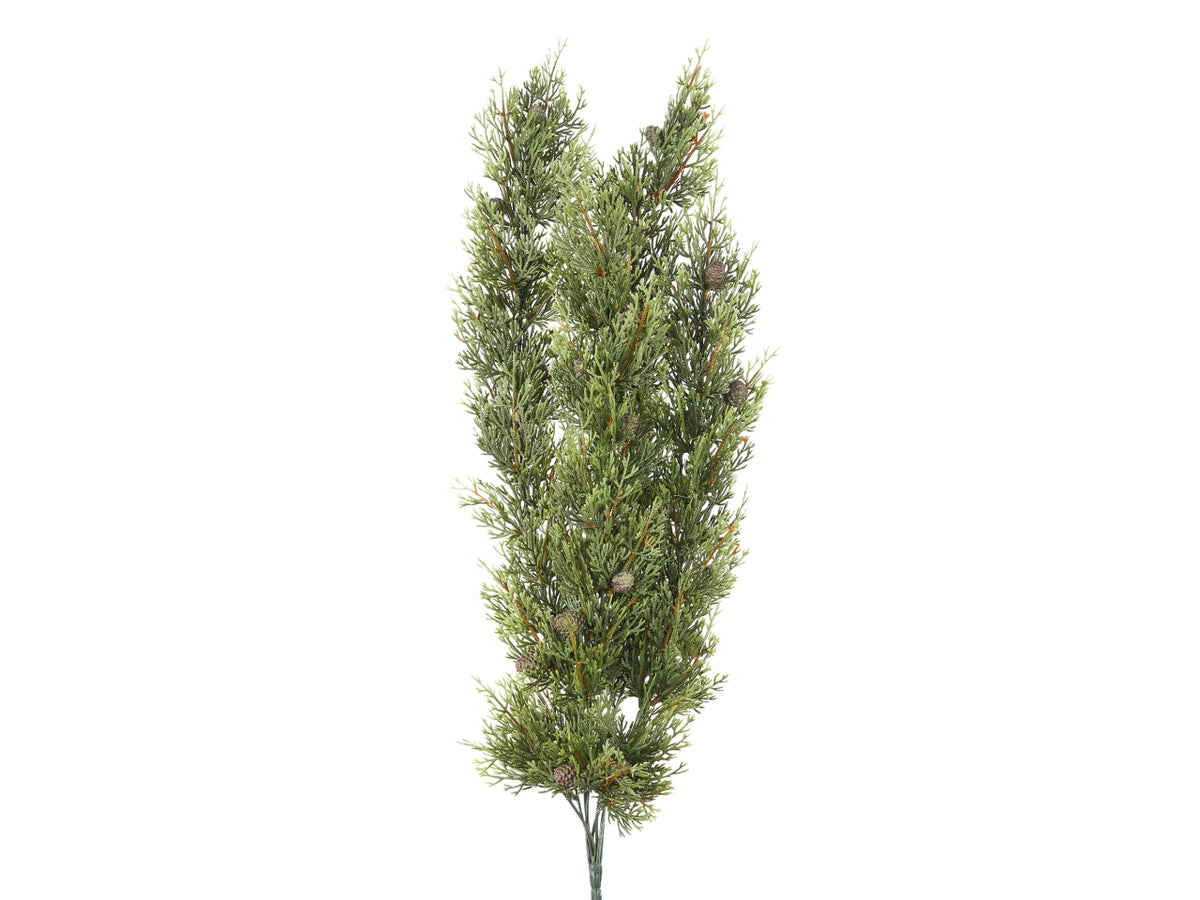 Ramo pino thuia cascante 70cm