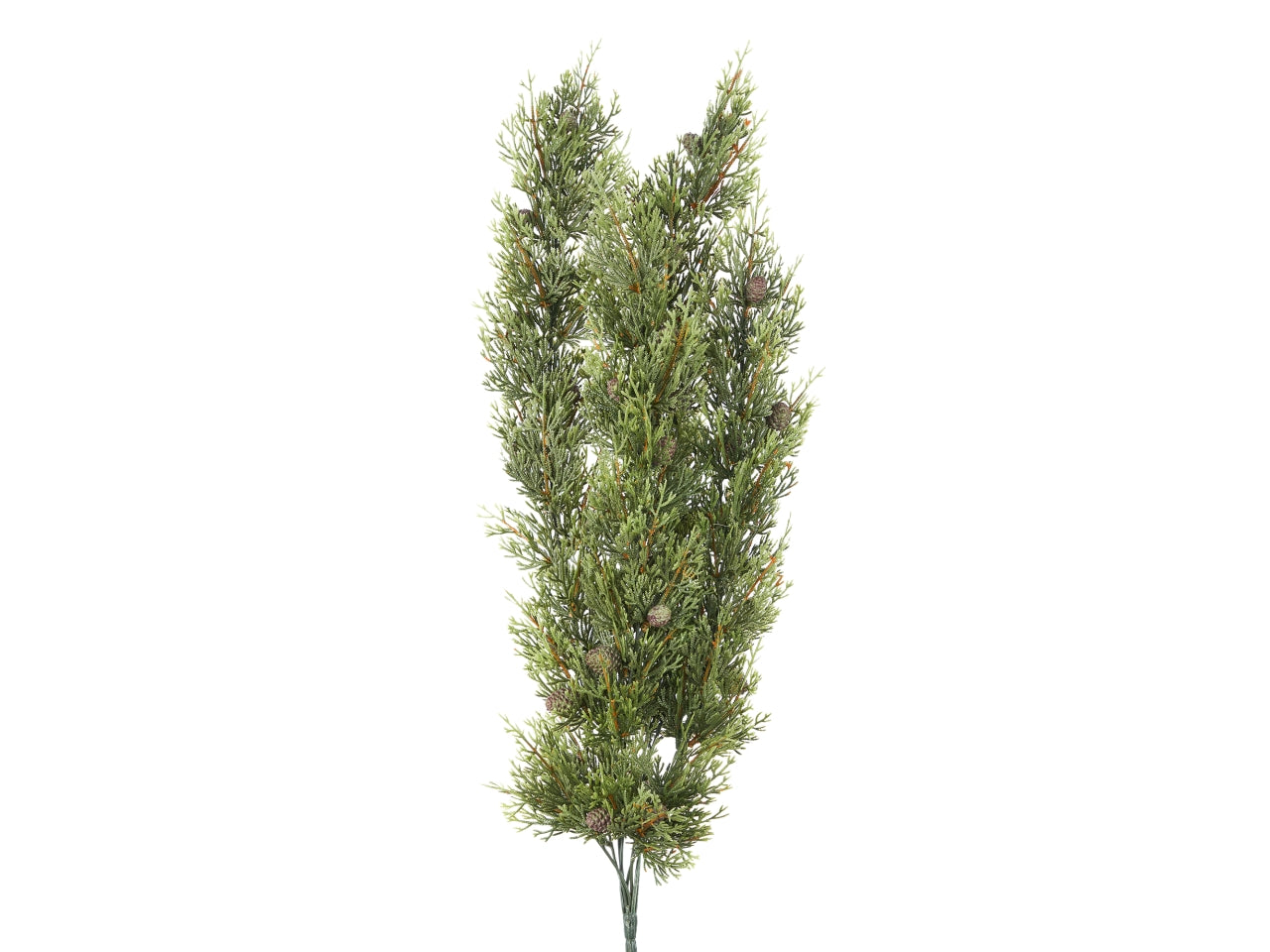 Ramo pino thuia cascante 70cm