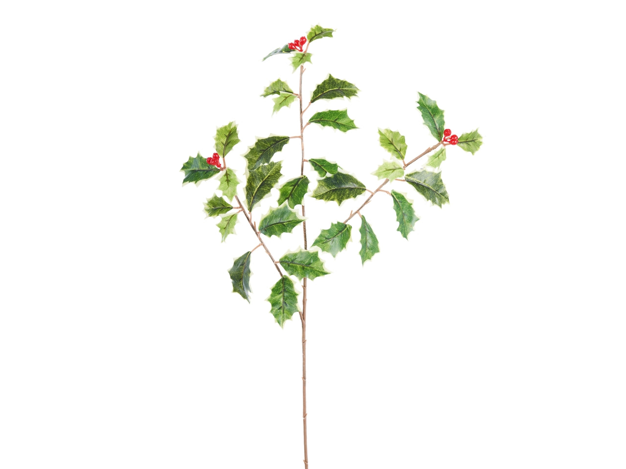 Ramo agrifoglio 55cm con bacche rosse