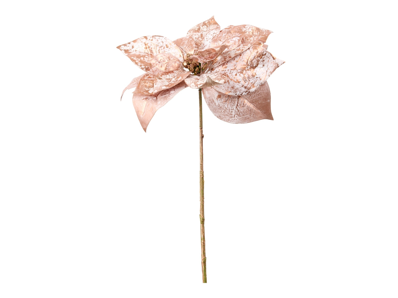 Pick stella di natale rosa