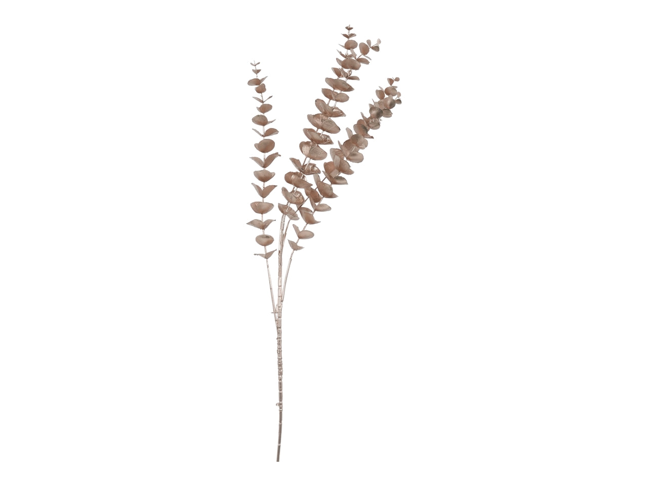 Ramo eucalypto 85cm champagne
