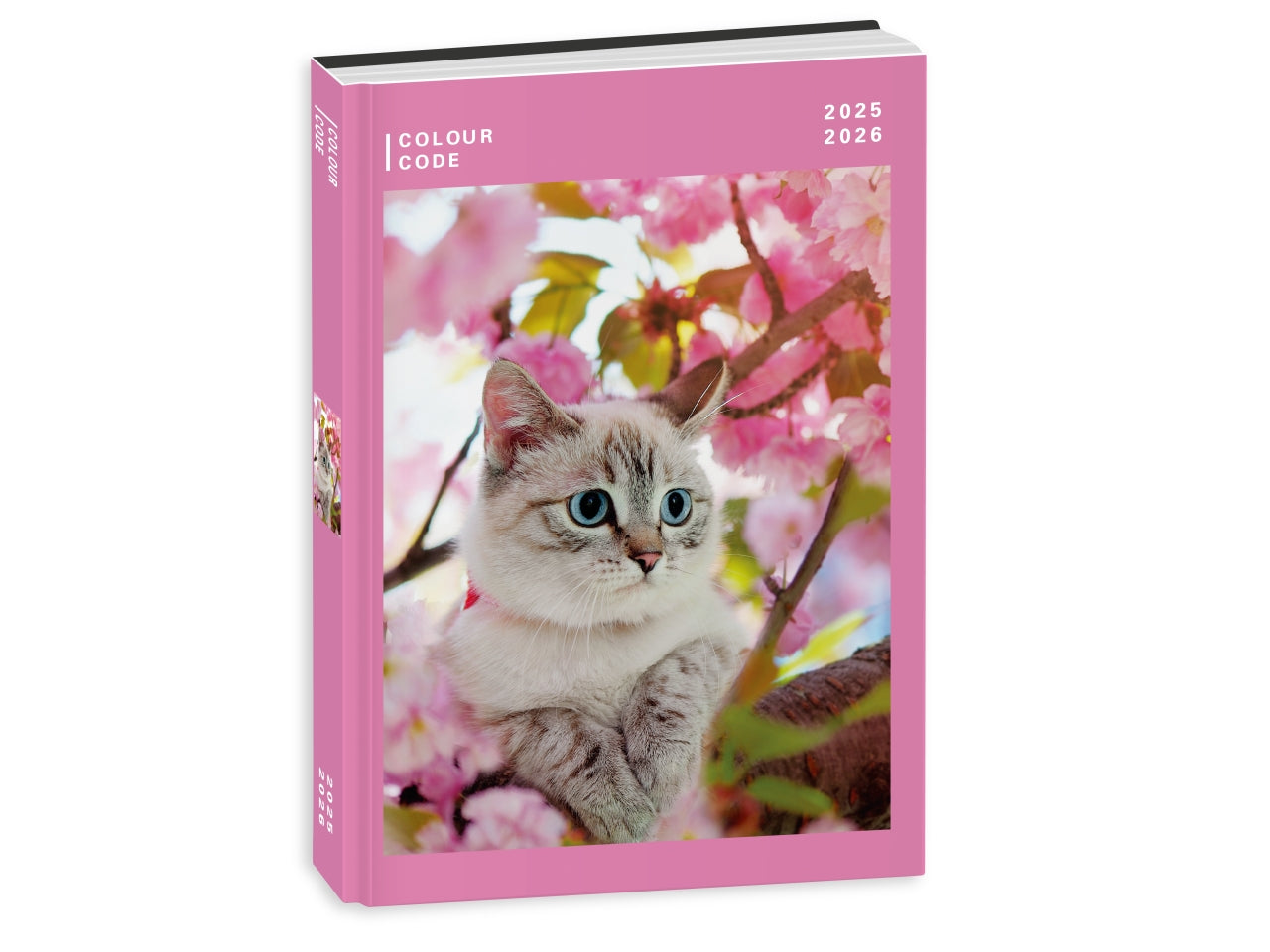 Diario 10m datato colour code animal snapshot