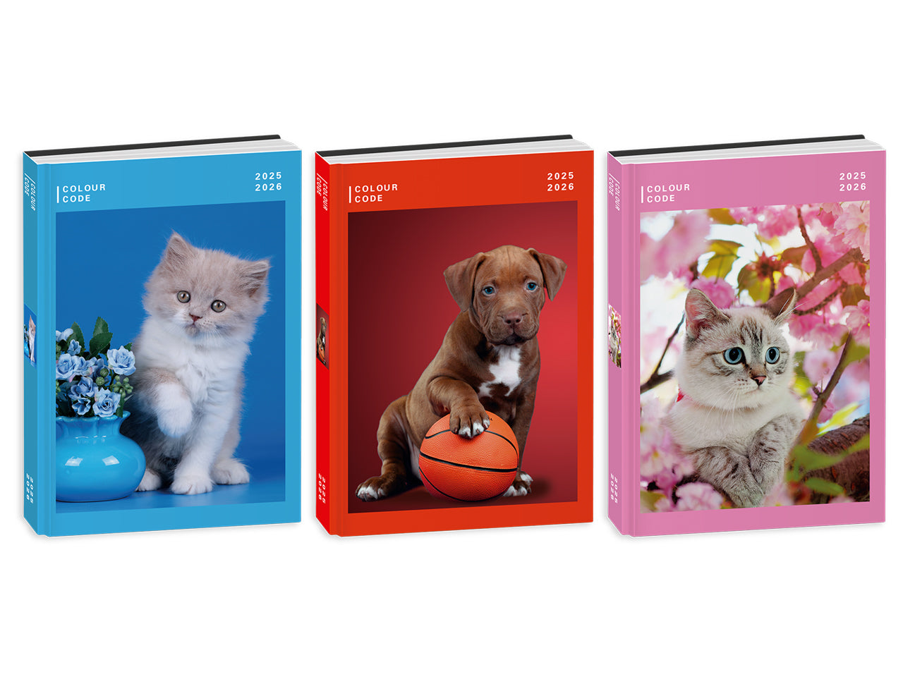 Diario 10m datato colour code animal snapshot