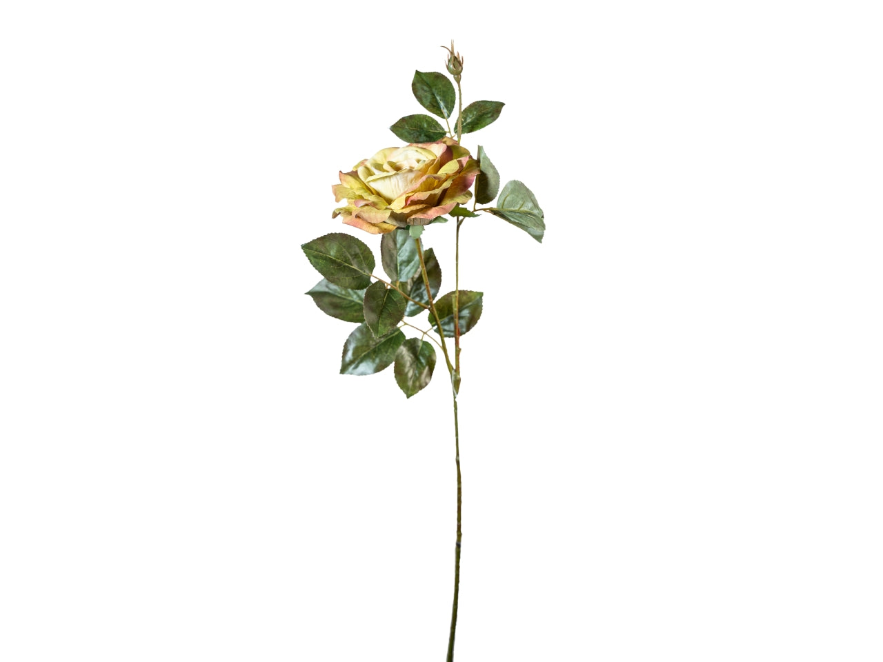 Ramo rosa, fiore con bocciolo senape