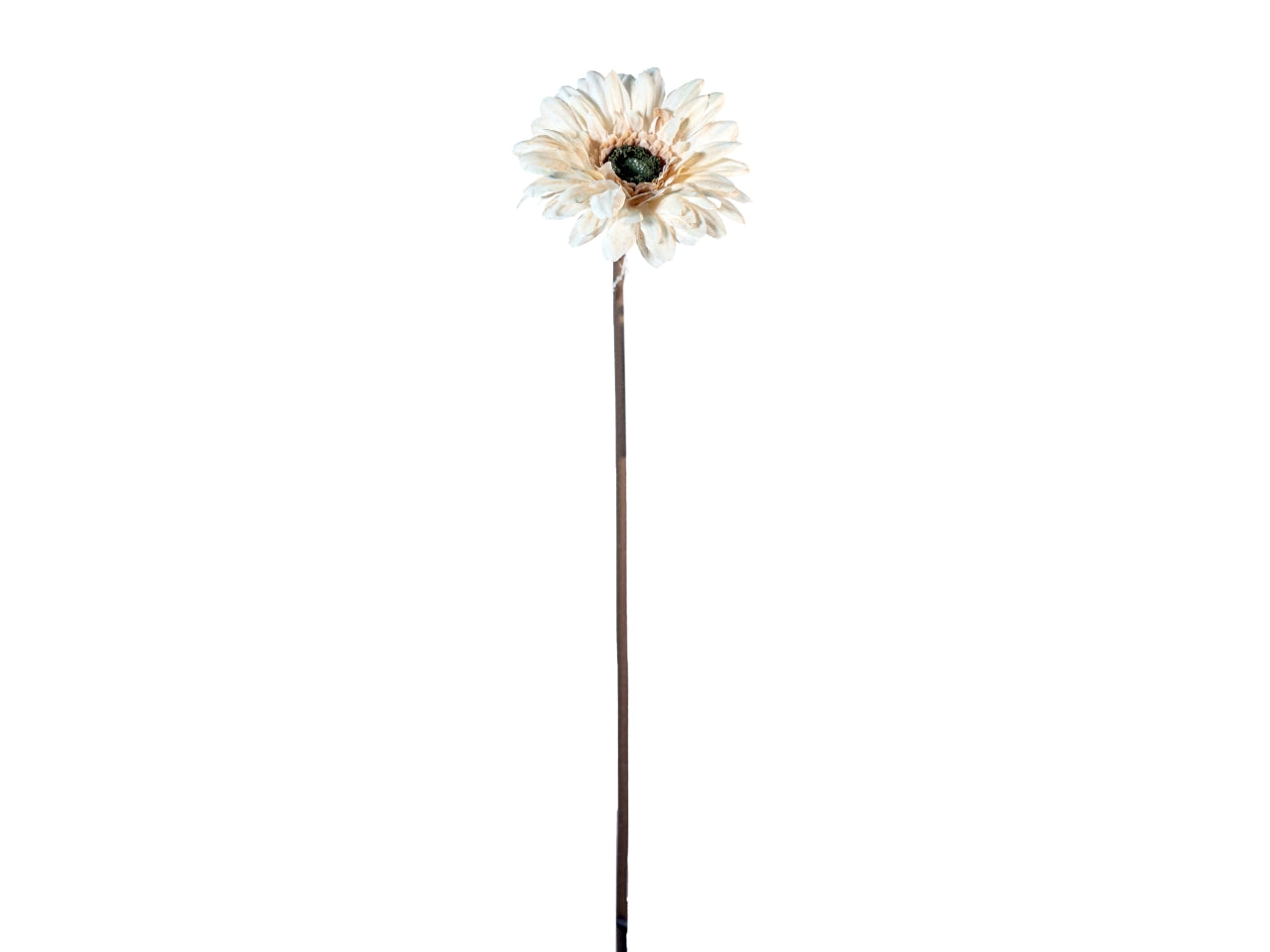 Ramo gerbera 50cm avorio