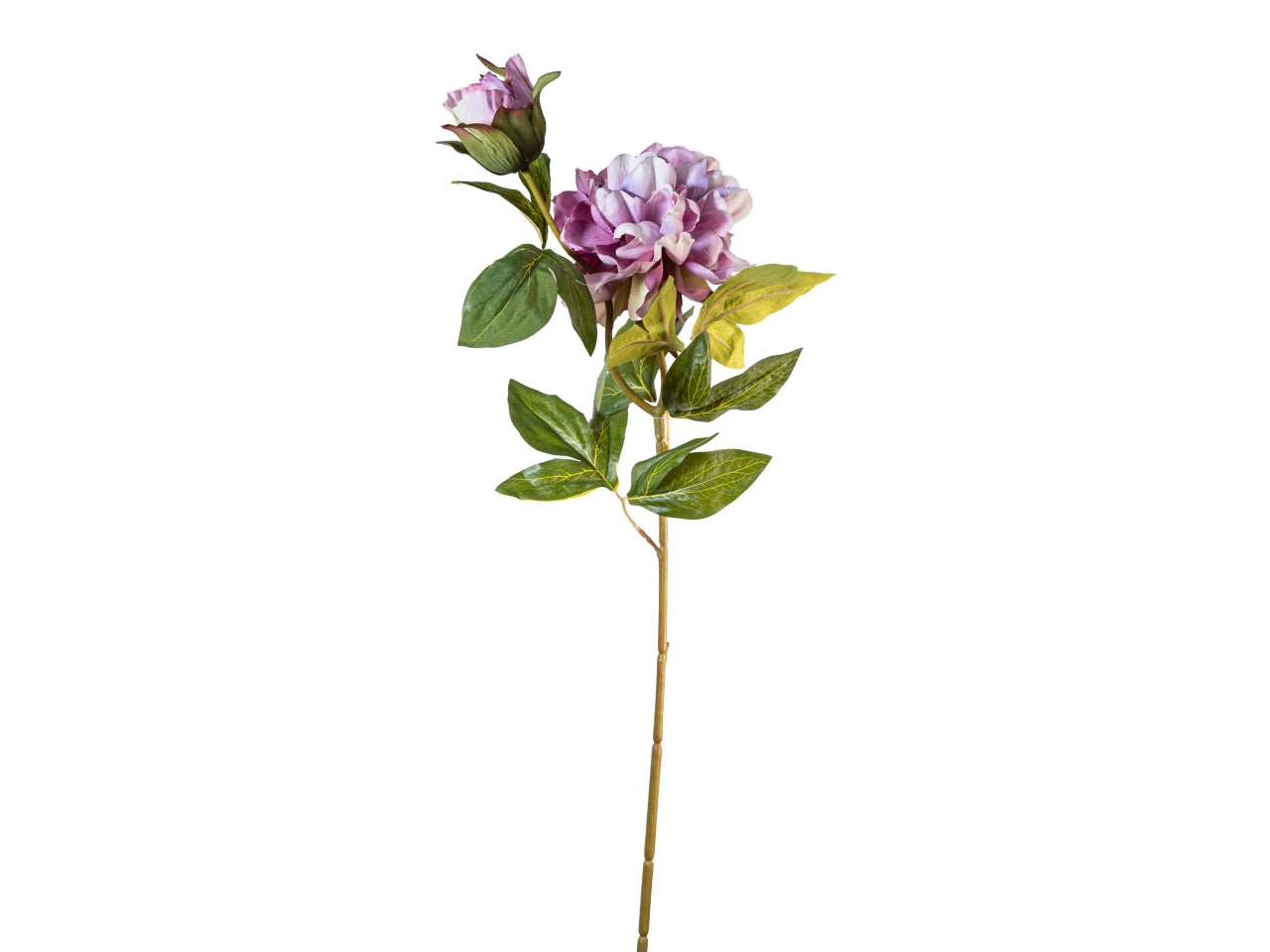 Ramo peonia 65cm fiore con bocciolo mauve
