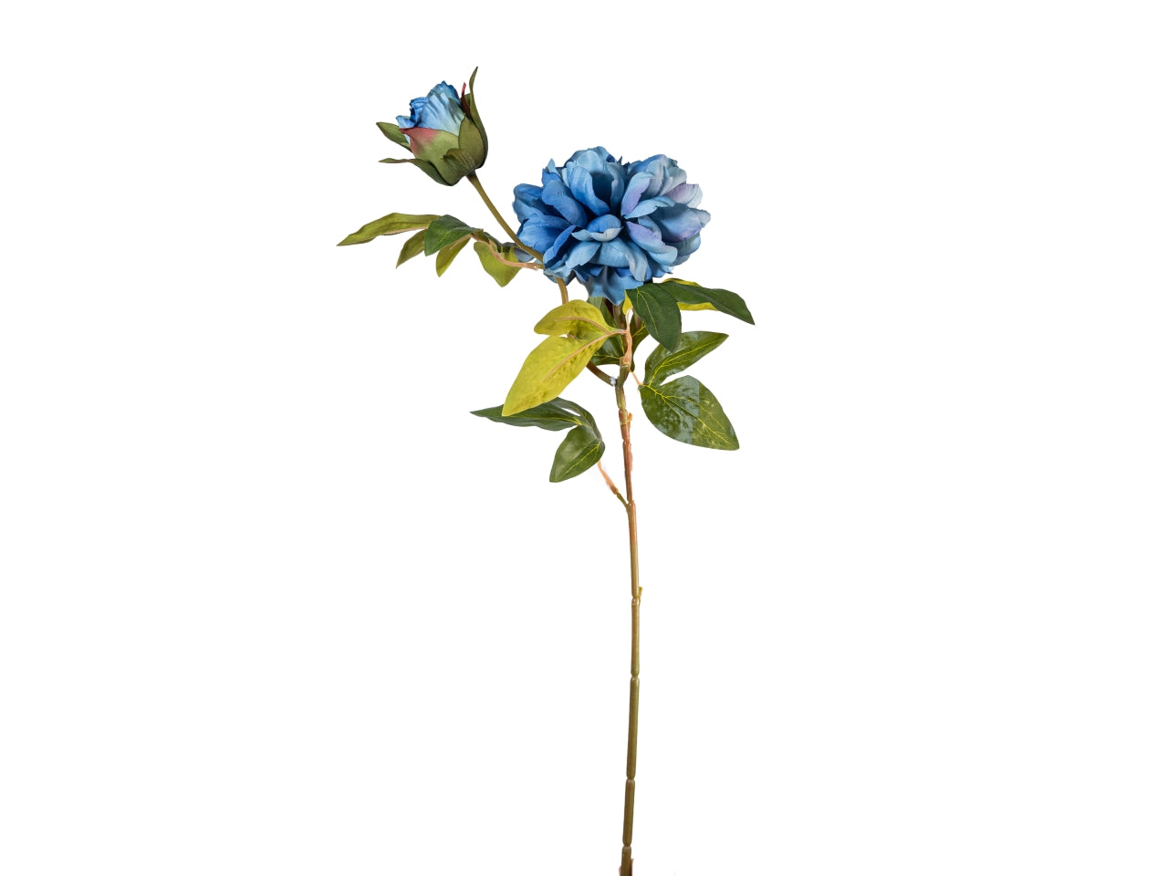 Ramo peonia 65cm fiore con bocciolo blu$