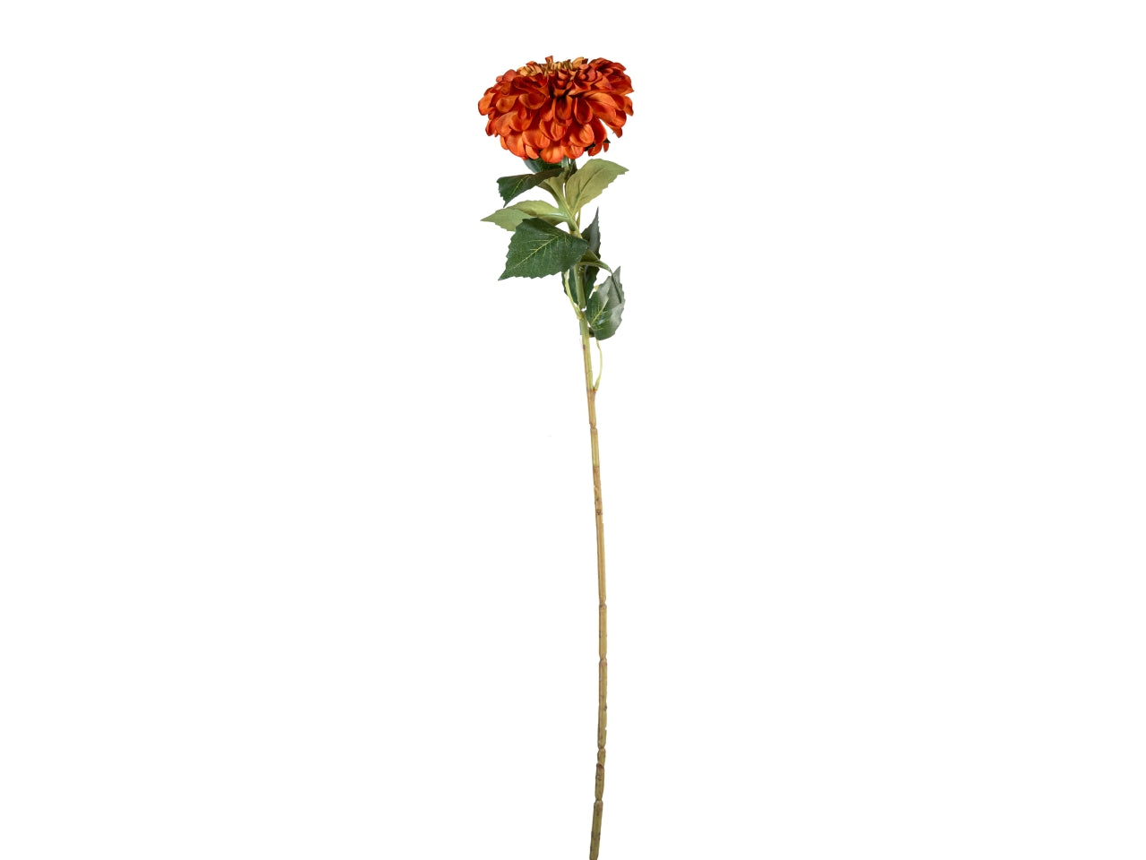 Ramo zinnia autunnale 70cm arancione