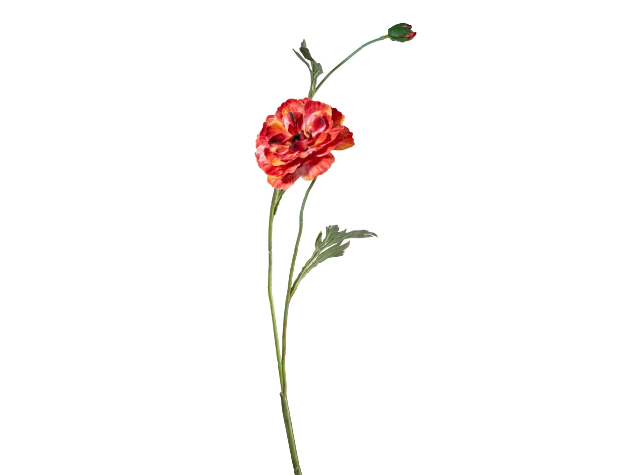 Ramo zinnia 72cm fiore con bocciolo corallo