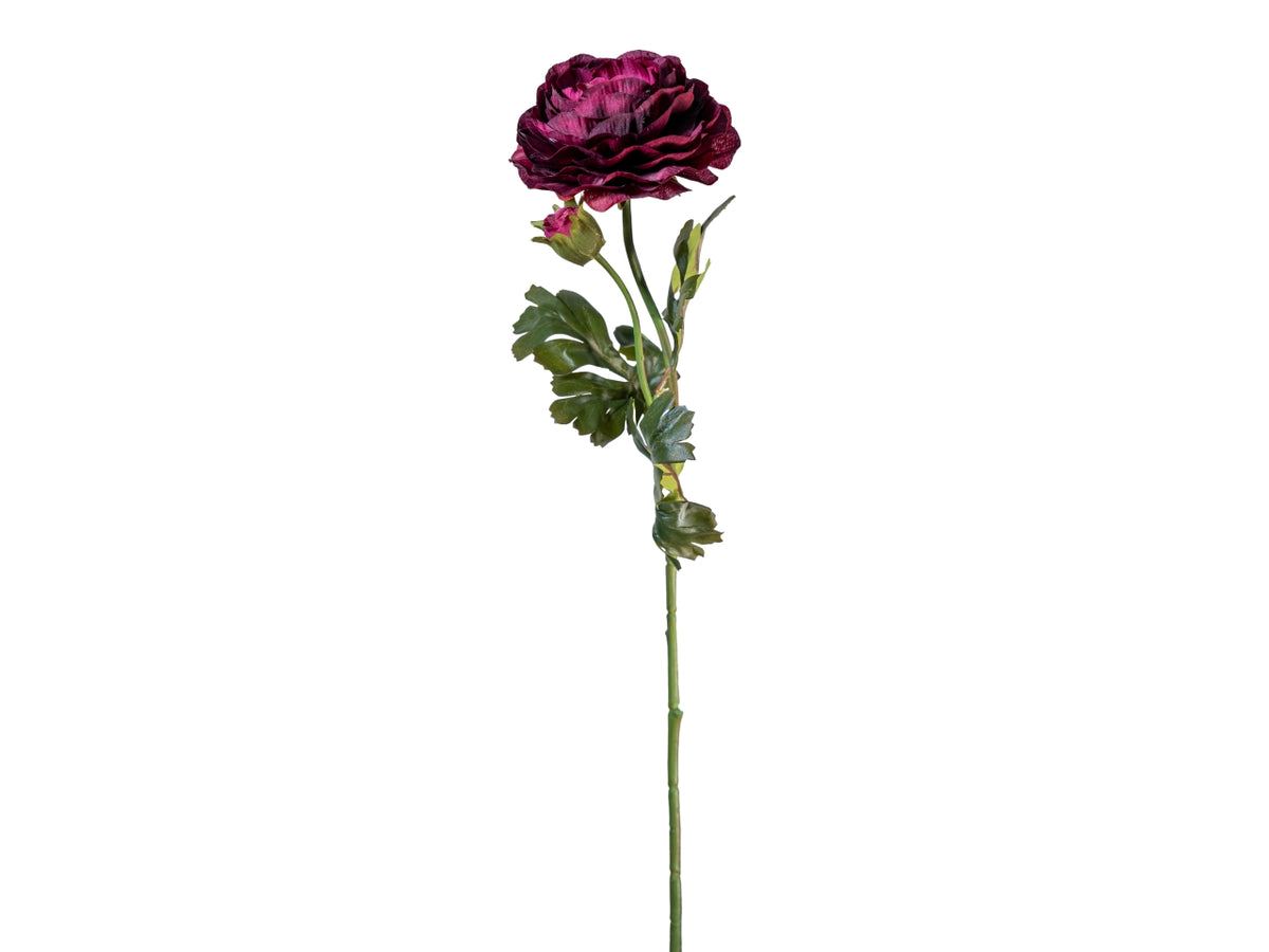 Ramo ranuncolo 60cm con bocciolo viola