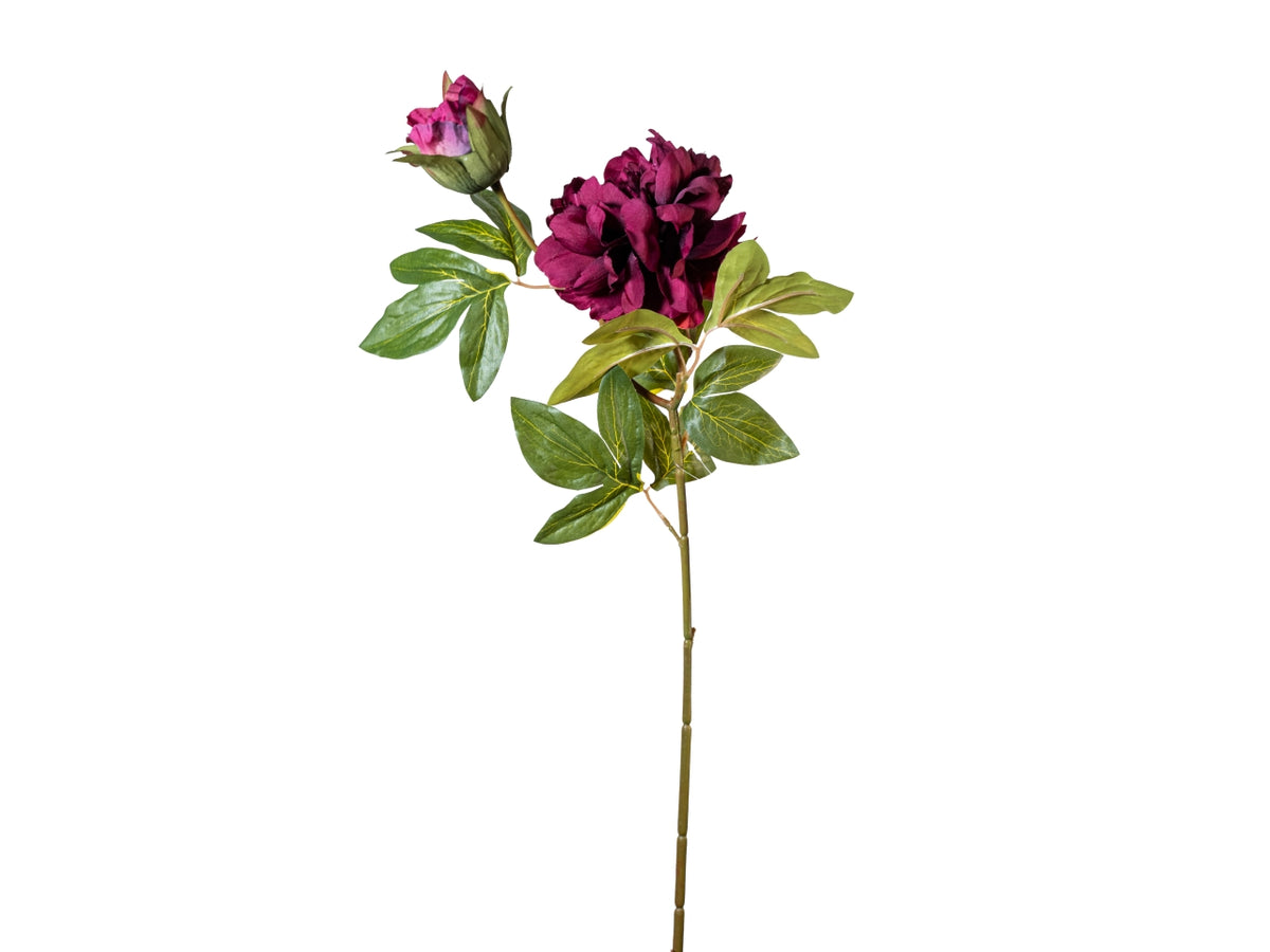 Ramo peonia 65cm fiore+bocciolo viola$