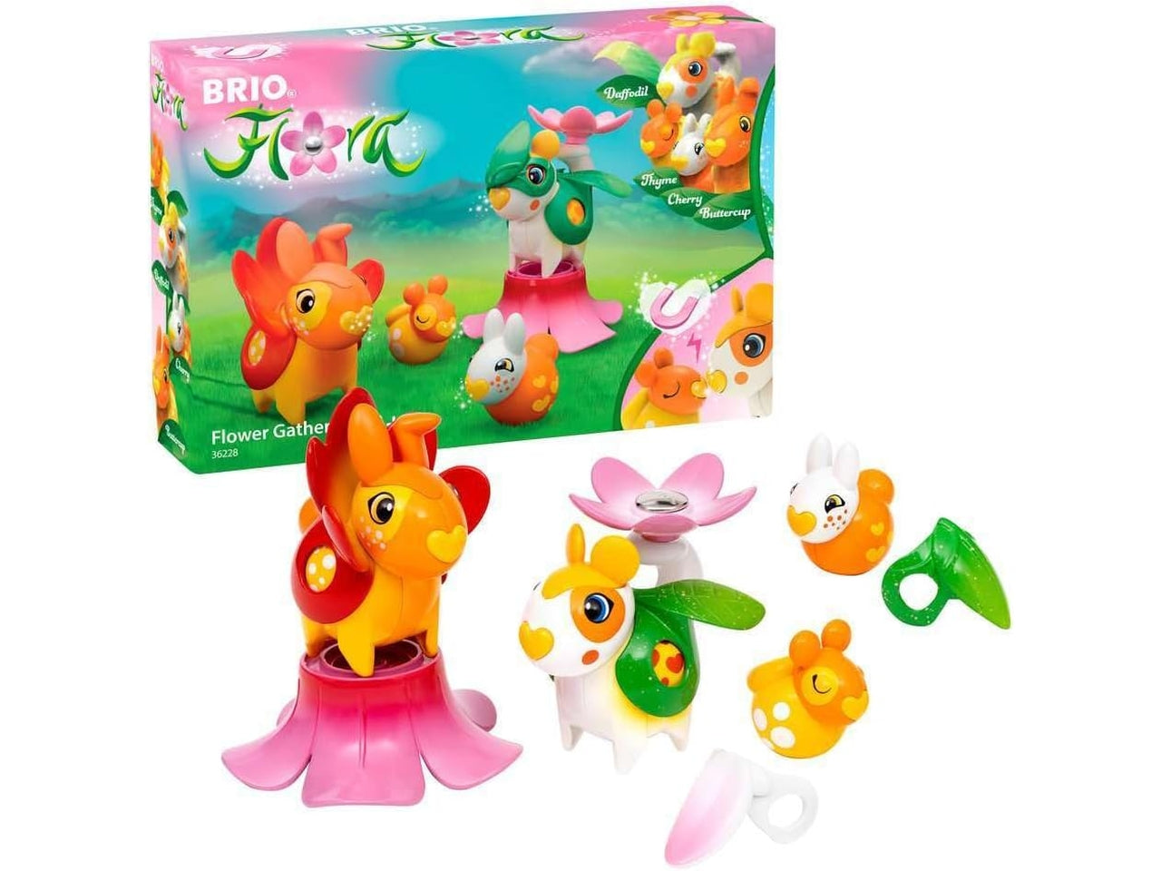 Gioco Flora narciso, ranuncolo e 2 amici - Gli esperti dei fiori
