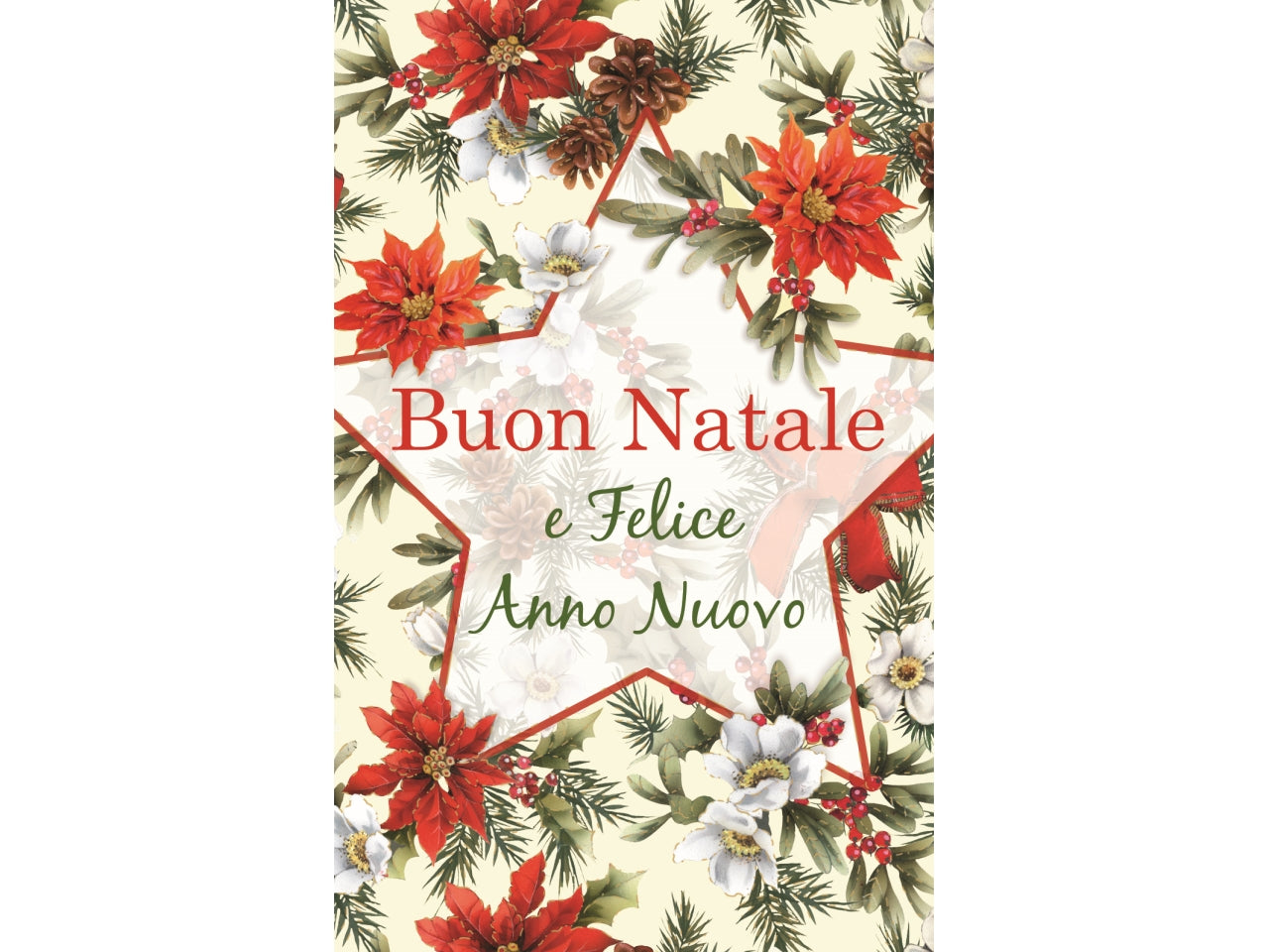 Biglietti buon natale 9x14cm in confezione da 6 pezzi fantasie assortite