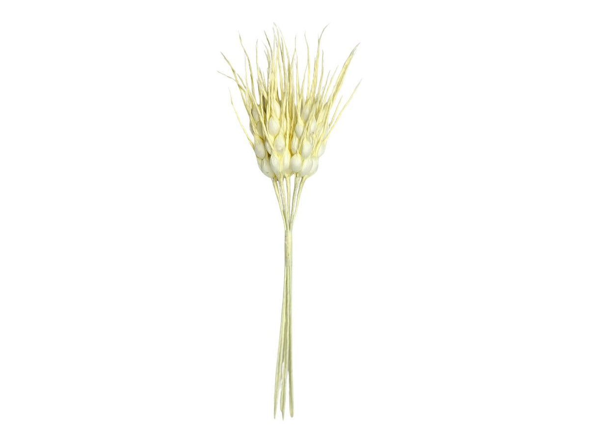 Spiga di grano crema in confezione da 144 pezzi
