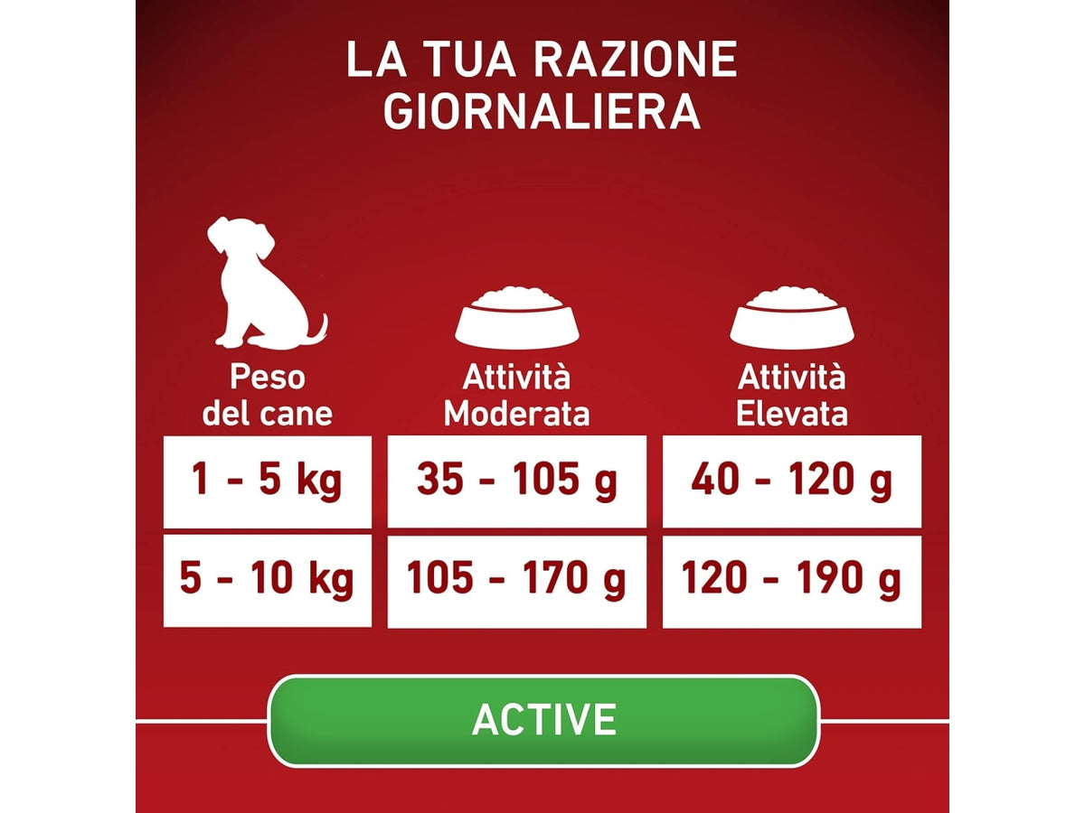 Purina one mini dog act.pollo/riso 800gr