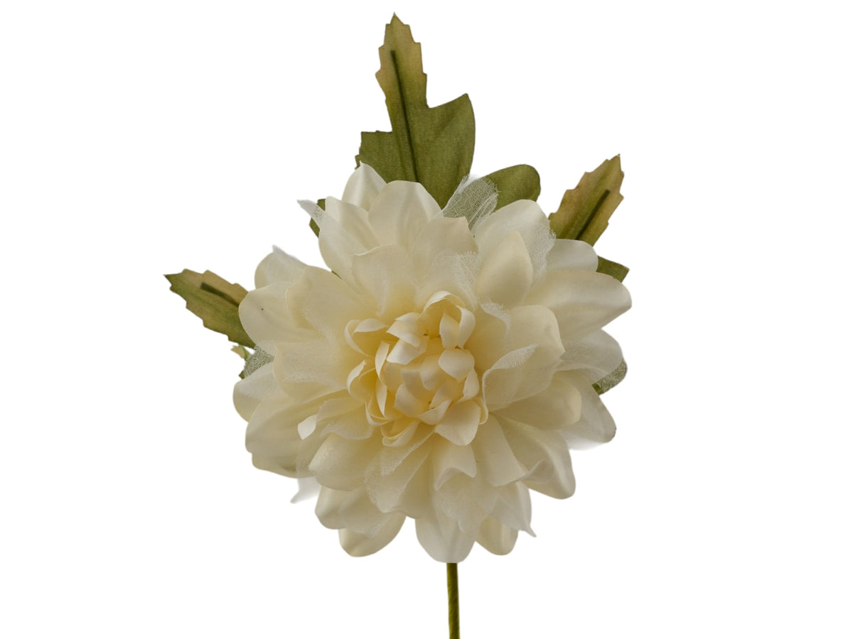 Dalia con foglie panna