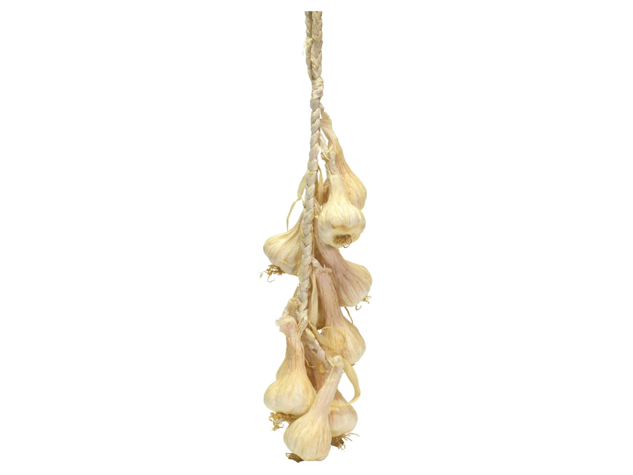 Treccia 10 aglio artificiale 15x50x6,5cm