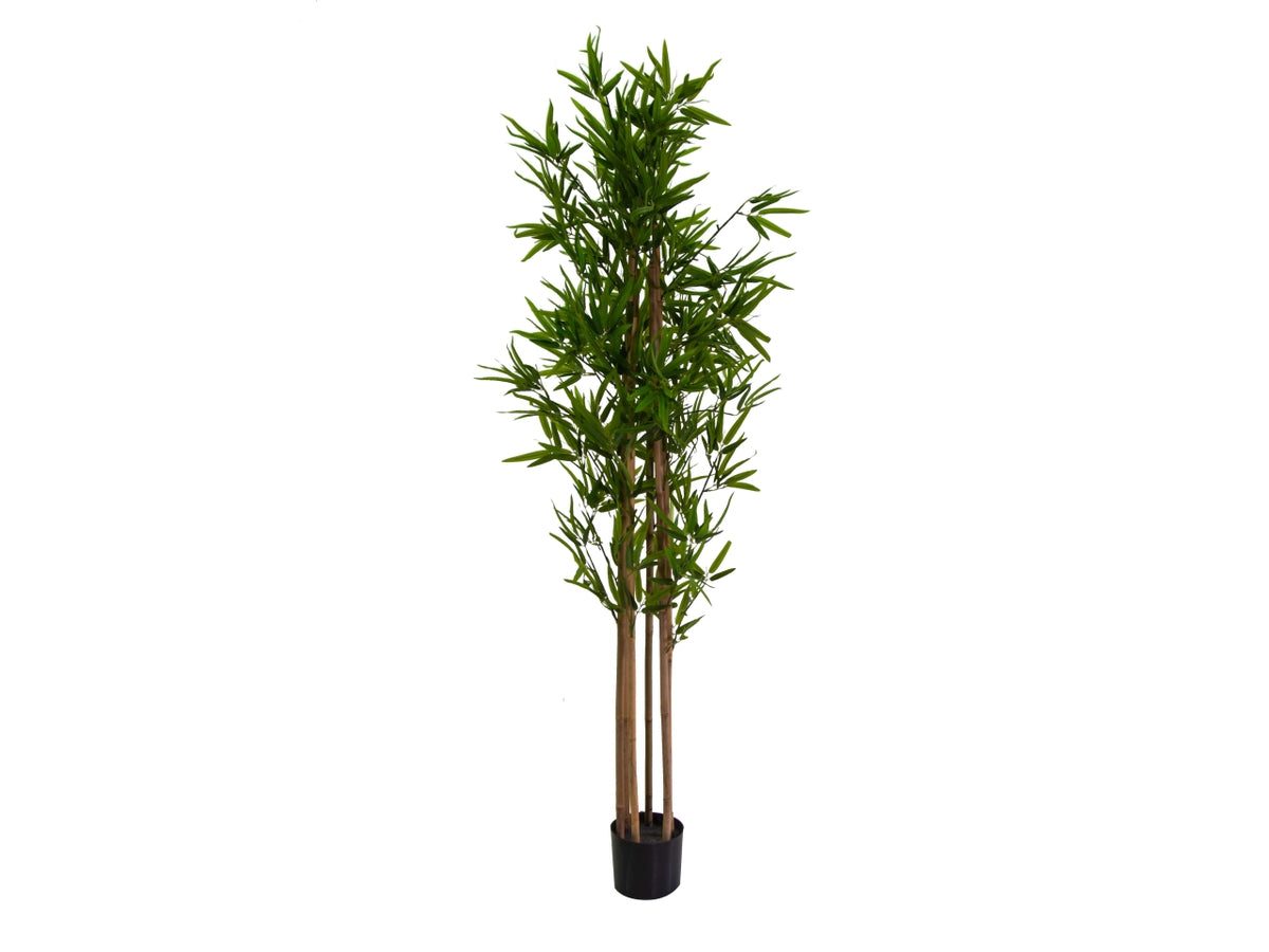 Pianta bambÃ¹ artificiale 180cm