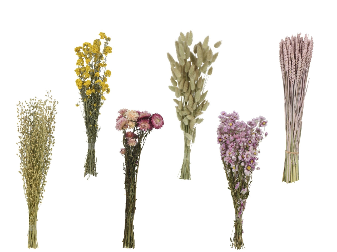 Mazzolino fiori secchi 6 assortiti 60x20xh.60cm