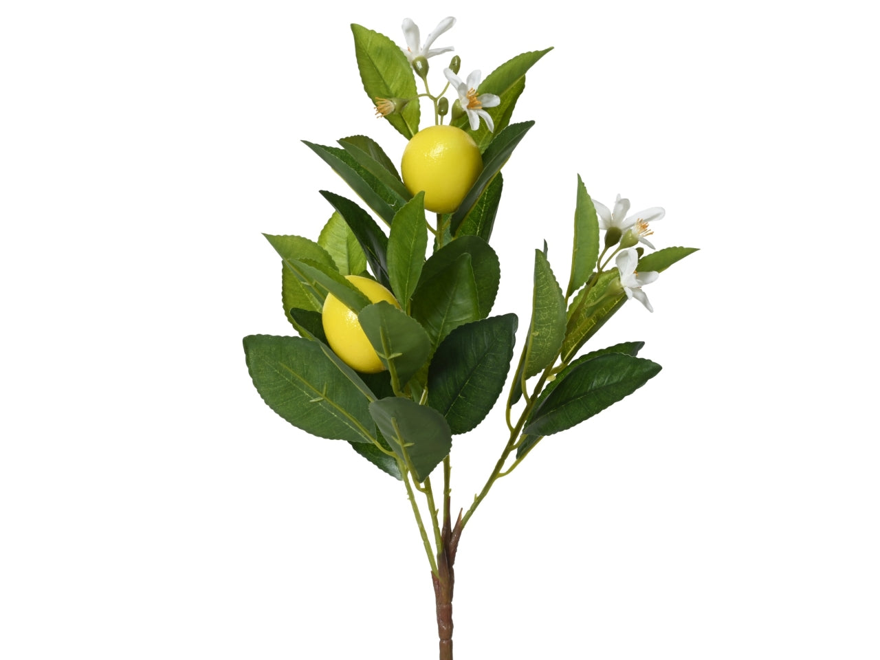 Mazzolino limoni giallo 18x18xh.58cm