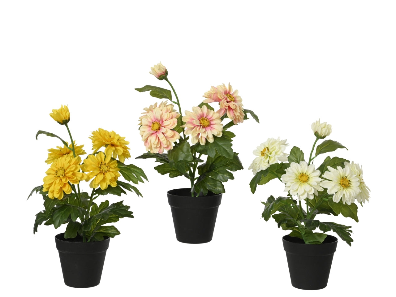 Vaso zinnia 3 assortiti d.25xh.40cm