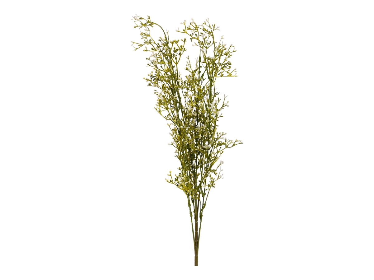 Gypsophila 65cm